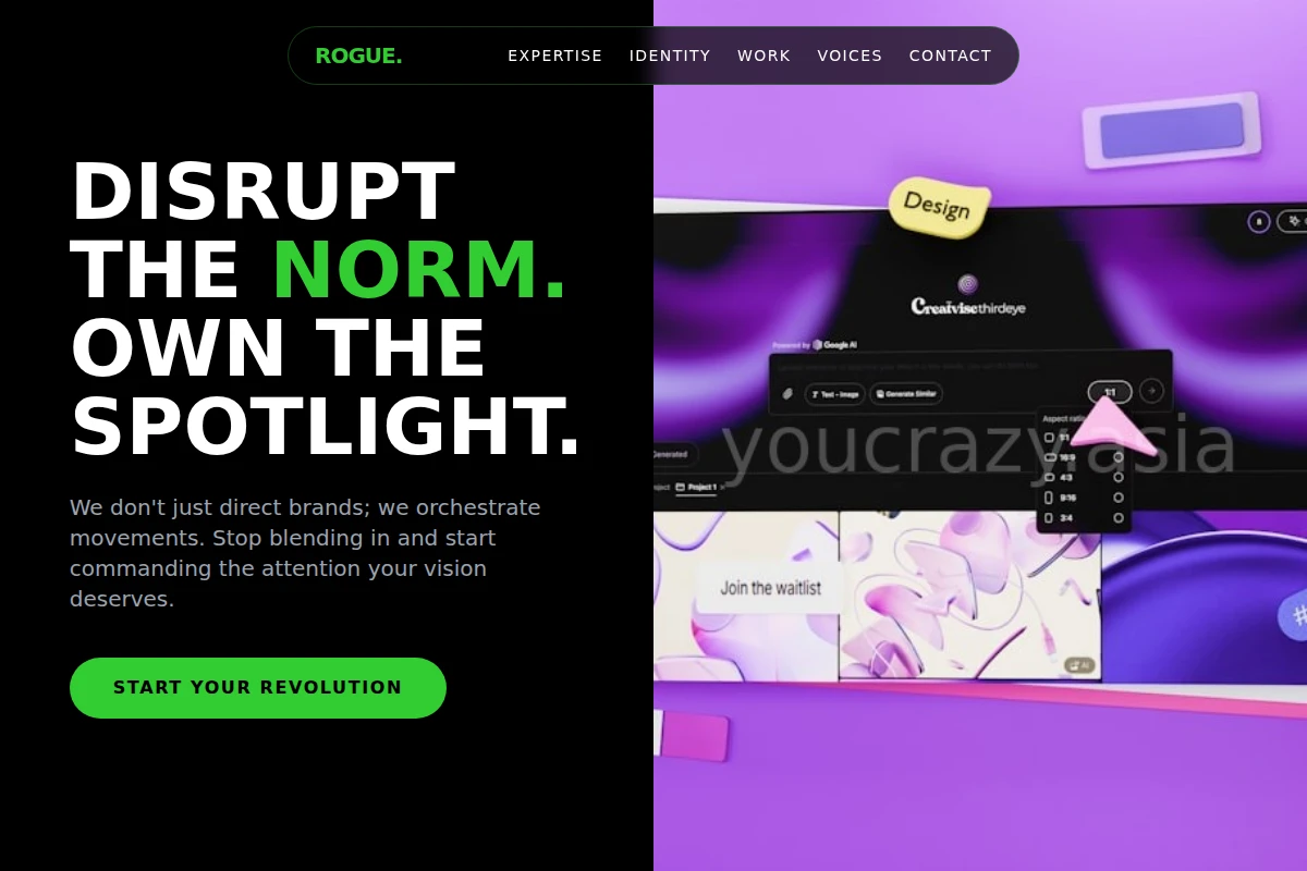 Rogue Creative Direction