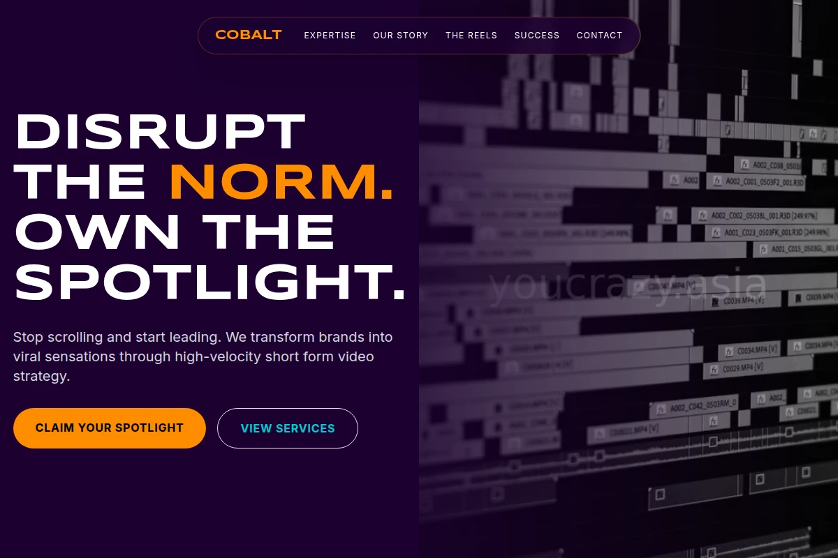 Cobalt Short Form Video Agency